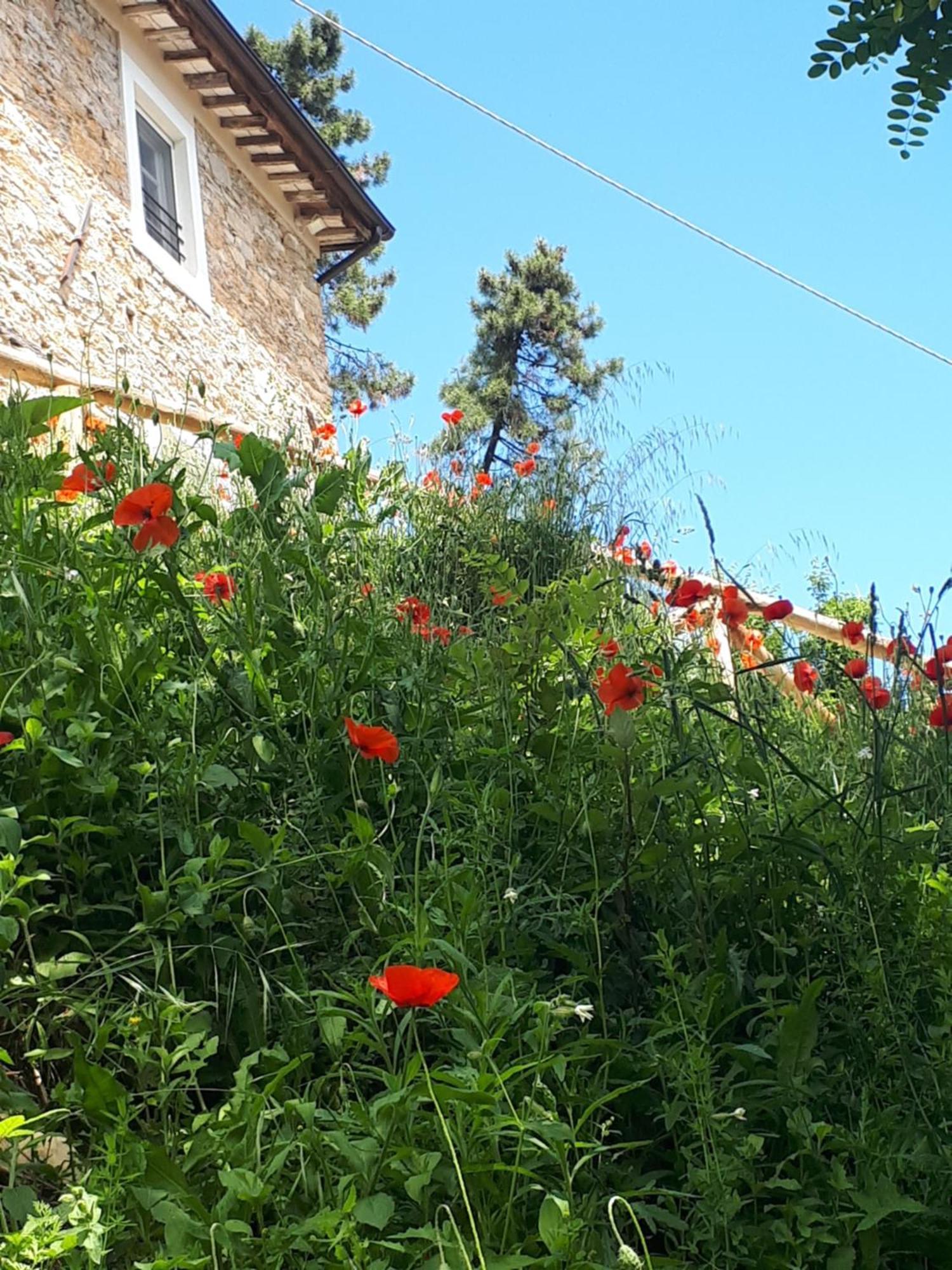 Villa Cima Delle Poiane, Stunning View *